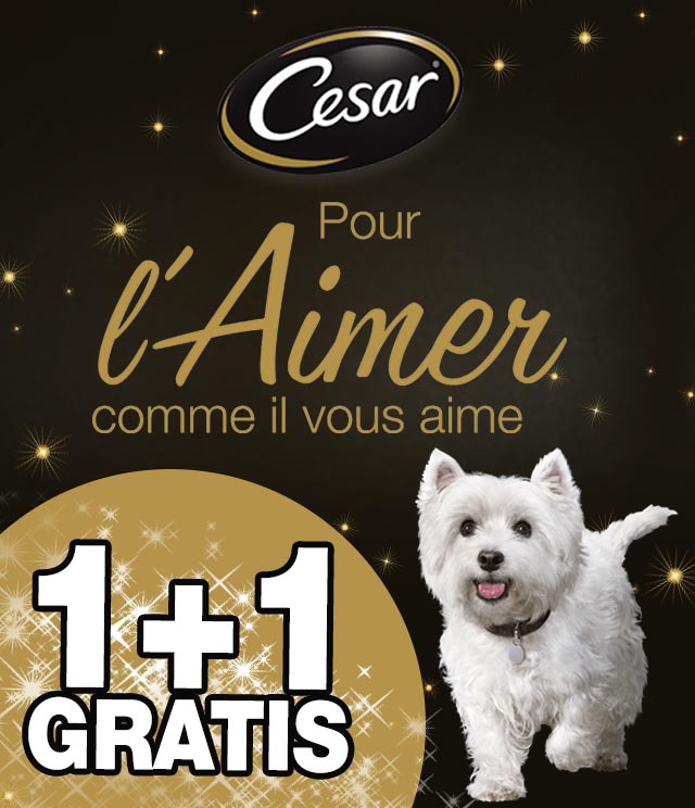 Cashback Cesar 1+1 Gratuit 1+1 Gratuit sur myShopi