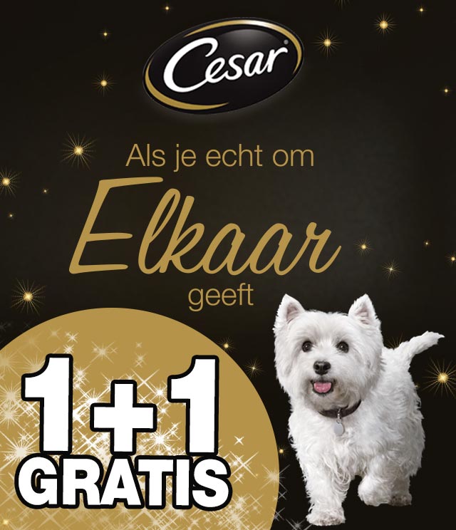 Cesar 1+1 Gratis 1+1 Gratis cashback op myShopi